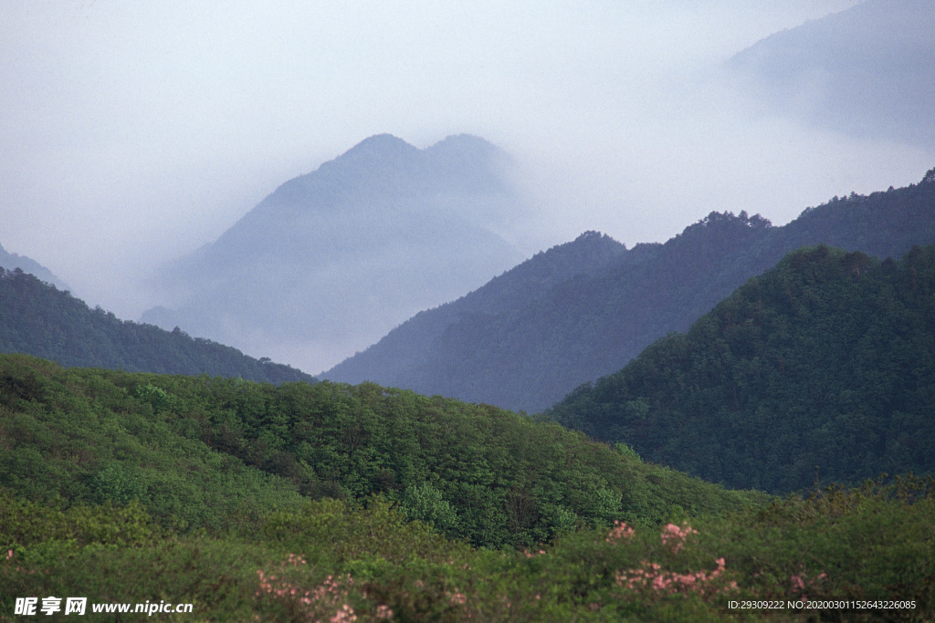 风景