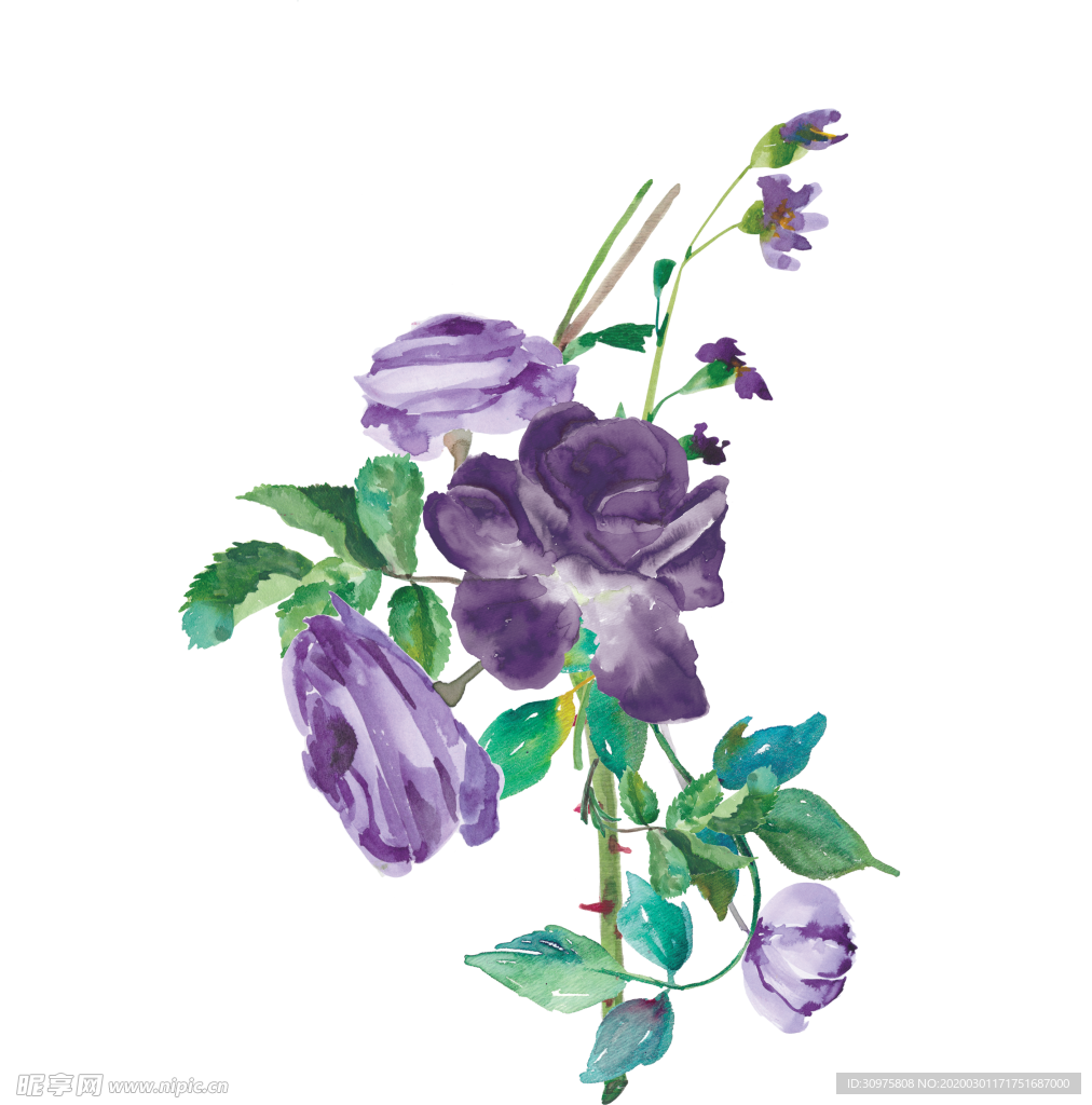 插画
