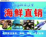 海鲜直销海报
