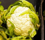 包菜