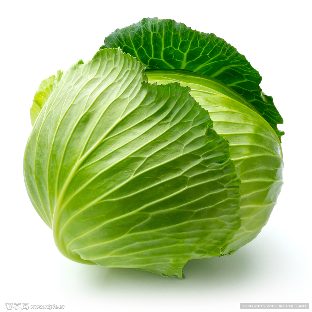卷心菜