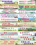 校园展板