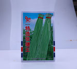 豆角