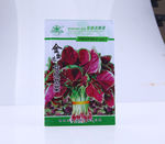 苋菜