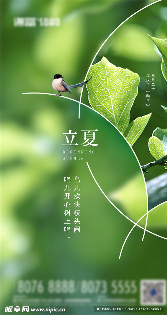 立夏海报
