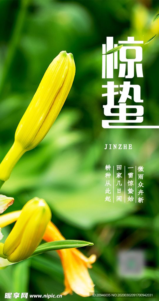 惊蛰