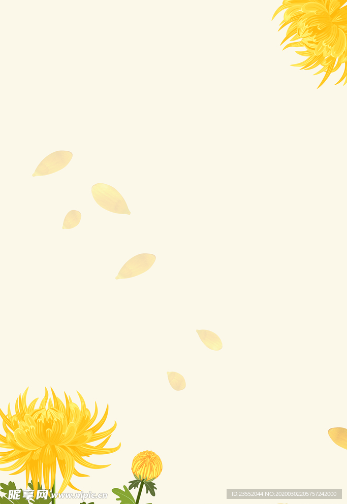 淡雅背景菊花黄色背景