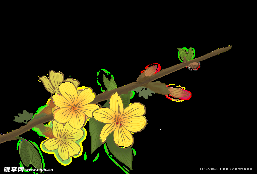 迎春花