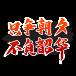 只争朝夕 不负韶华