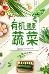 新鲜 有机 健康蔬菜 海报模版