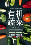 有机蔬菜 全场商品 特价优惠