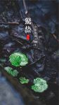 惊蛰