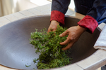 新鲜绿茶制茶炒茶过程