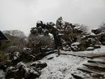 园林雪景