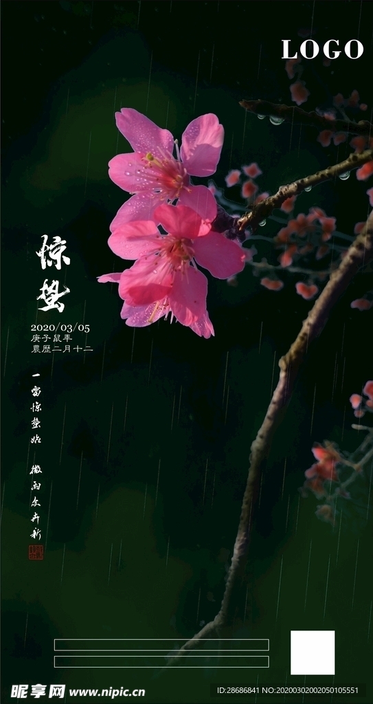 惊蛰