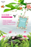 清新绿色海报