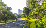 地产 小区 园林 实景 拍摄