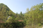 青山绿水