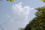 一朵白云