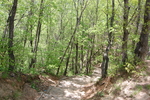 山间小路