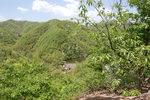 青山