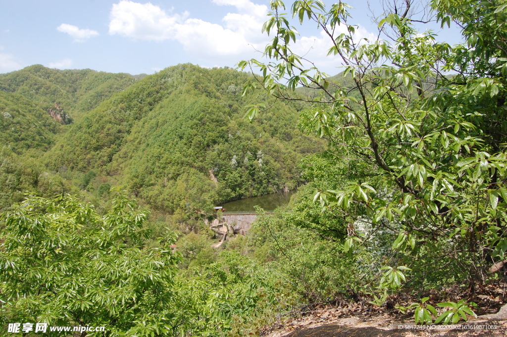 青山