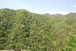 青山