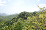 青山