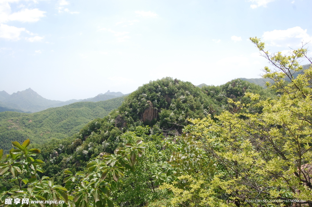 青山
