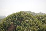 山峰