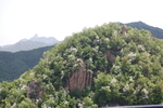 青山