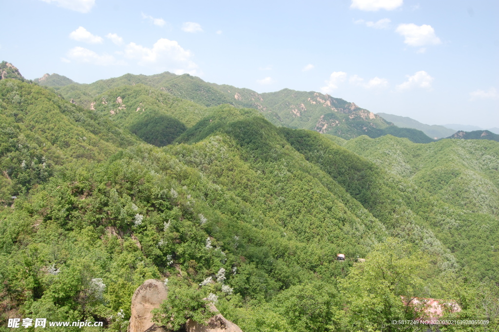 青山