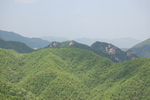 青山