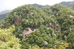 青山