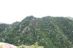 青山