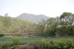青山