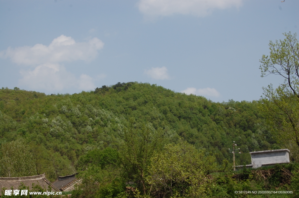 青山
