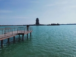 风筝 海边 浦湖 桥 人 楼房