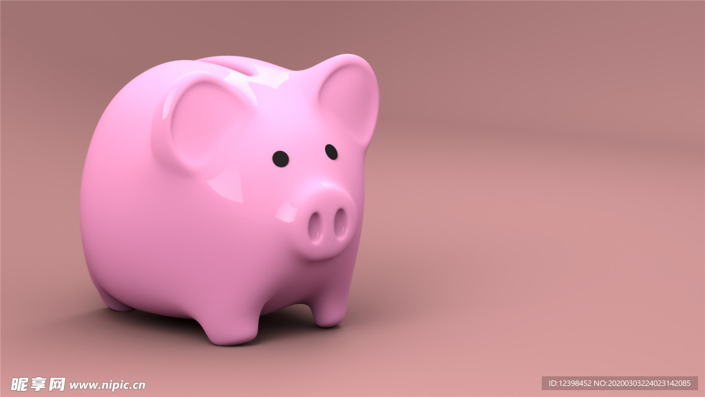 可爱的猪猪存钱罐