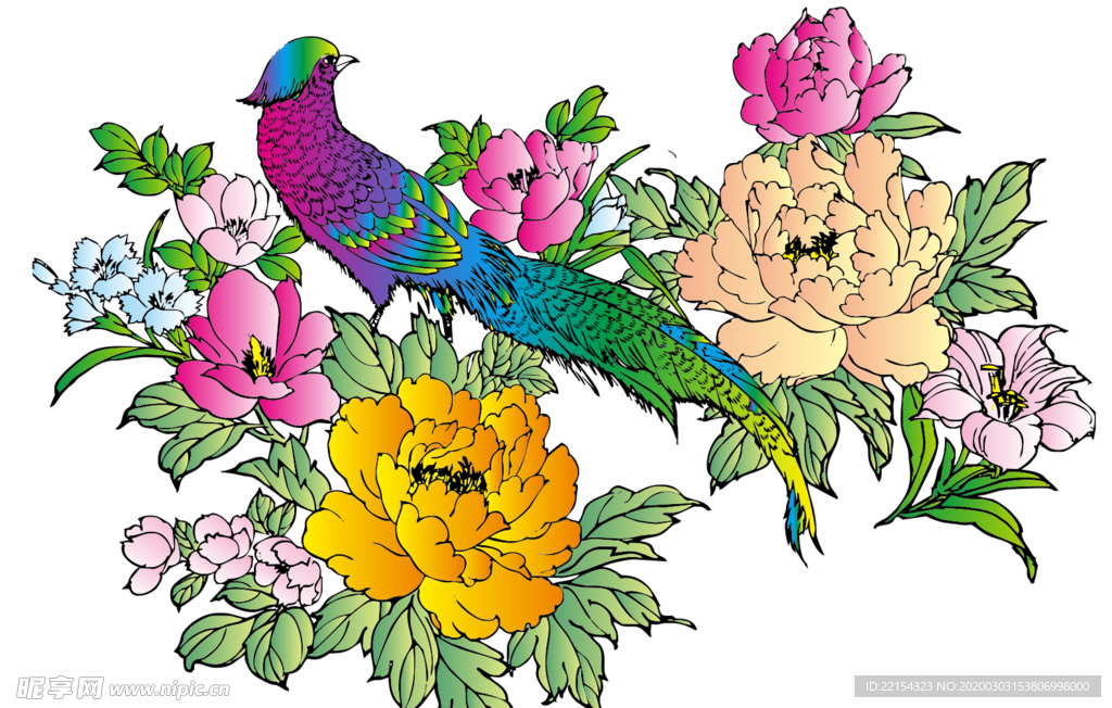 牡丹花鸟