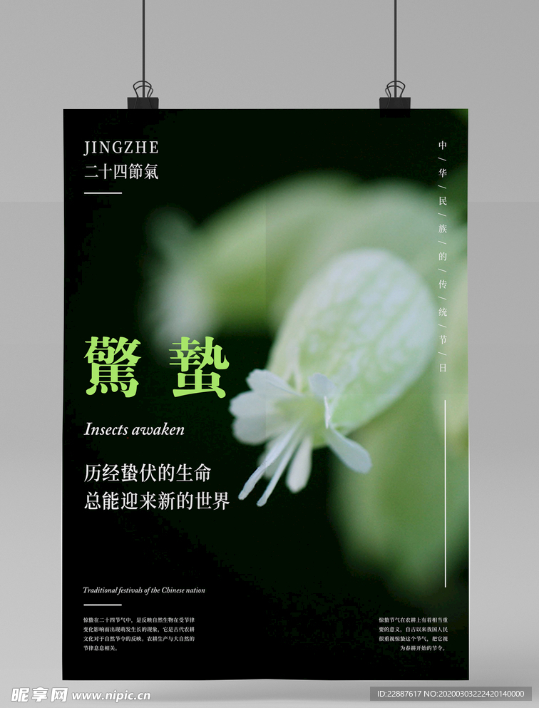 春天惊蛰海报