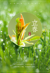 植物背景