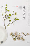 春分节气