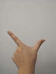 手势