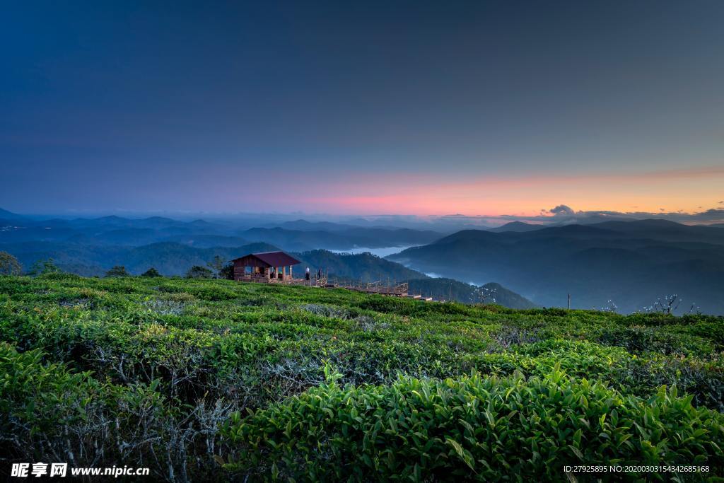风景