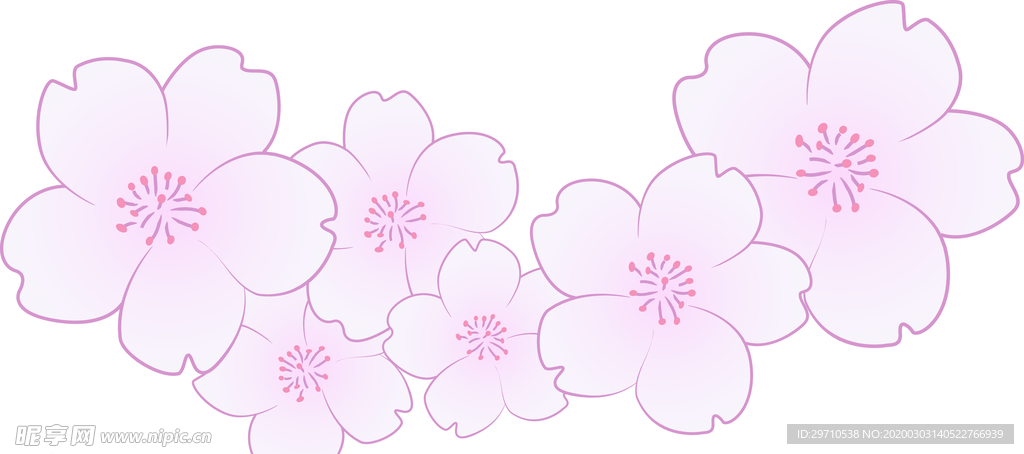 樱花