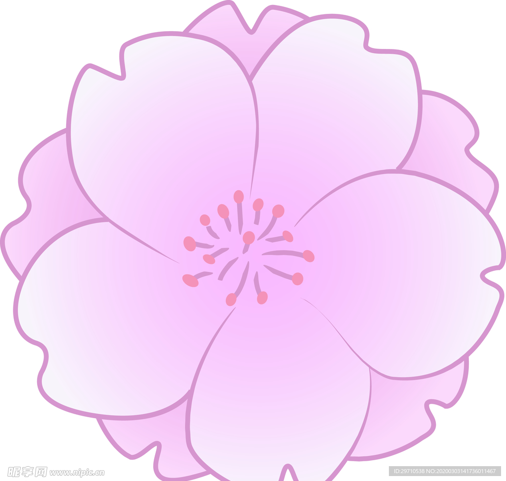 樱花
