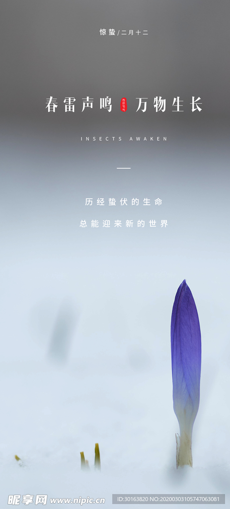 传统节气 惊蛰微信单图