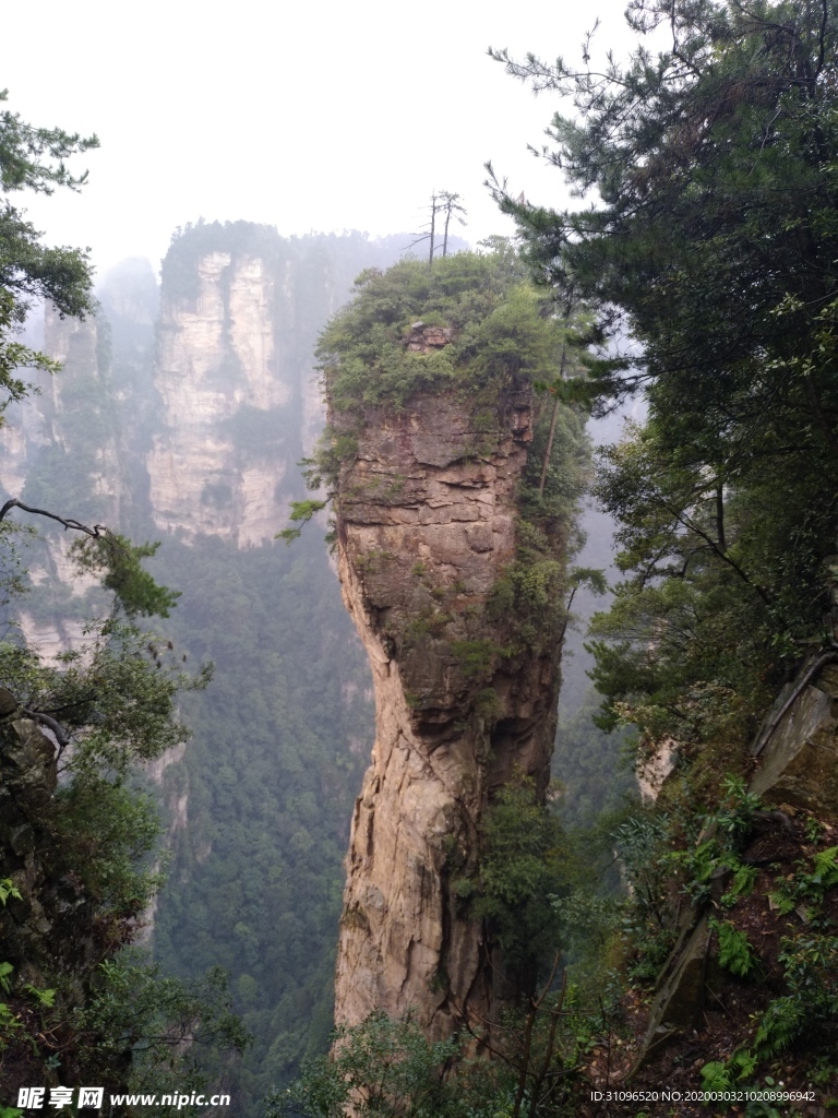 随手拍