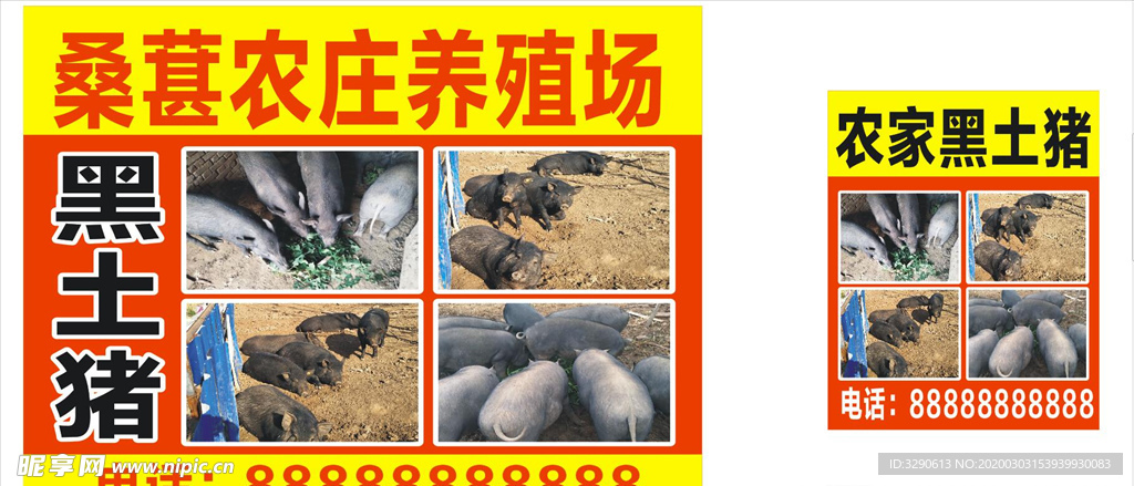 黑土猪养殖场